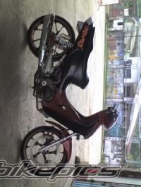 Photo 1165546