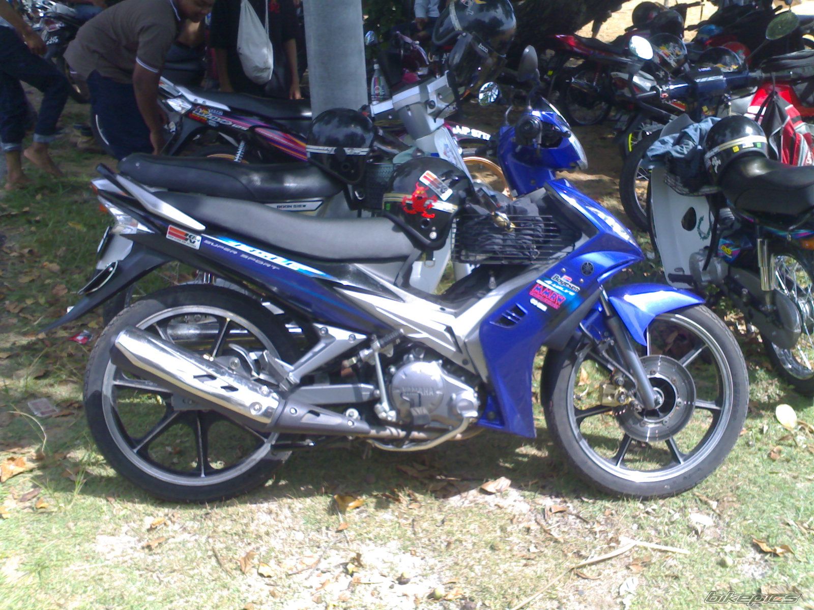 Photo 1165660