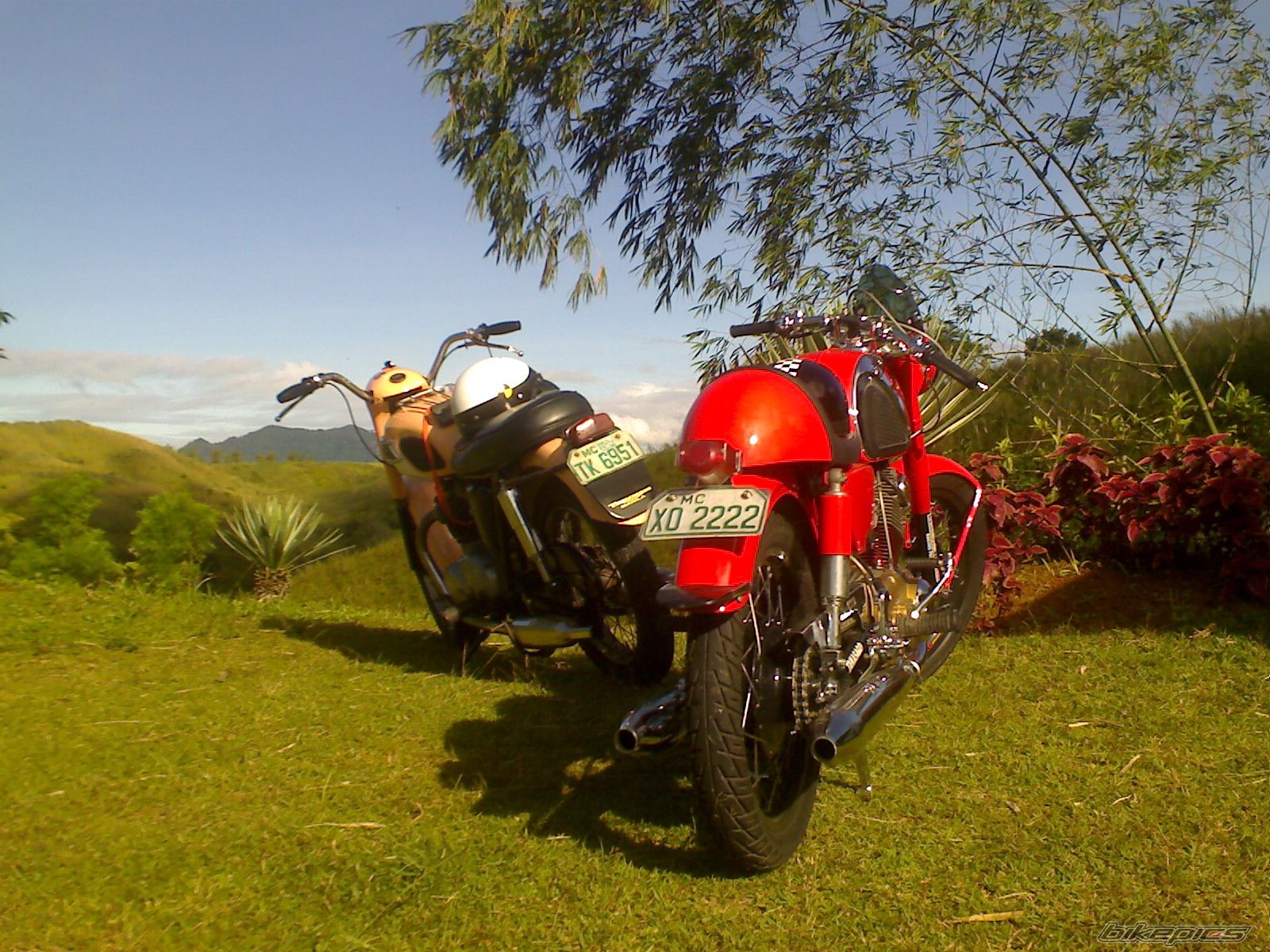 Photo 1165808
