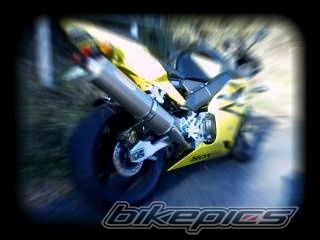 Photo 1165824
