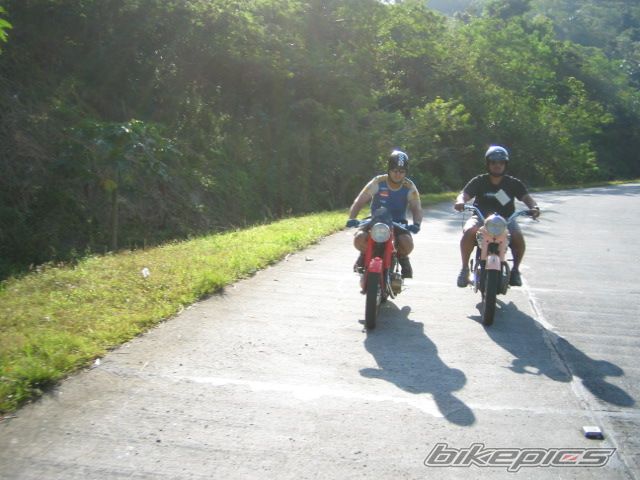 Photo 1165852