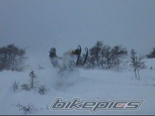 Photo 1166005