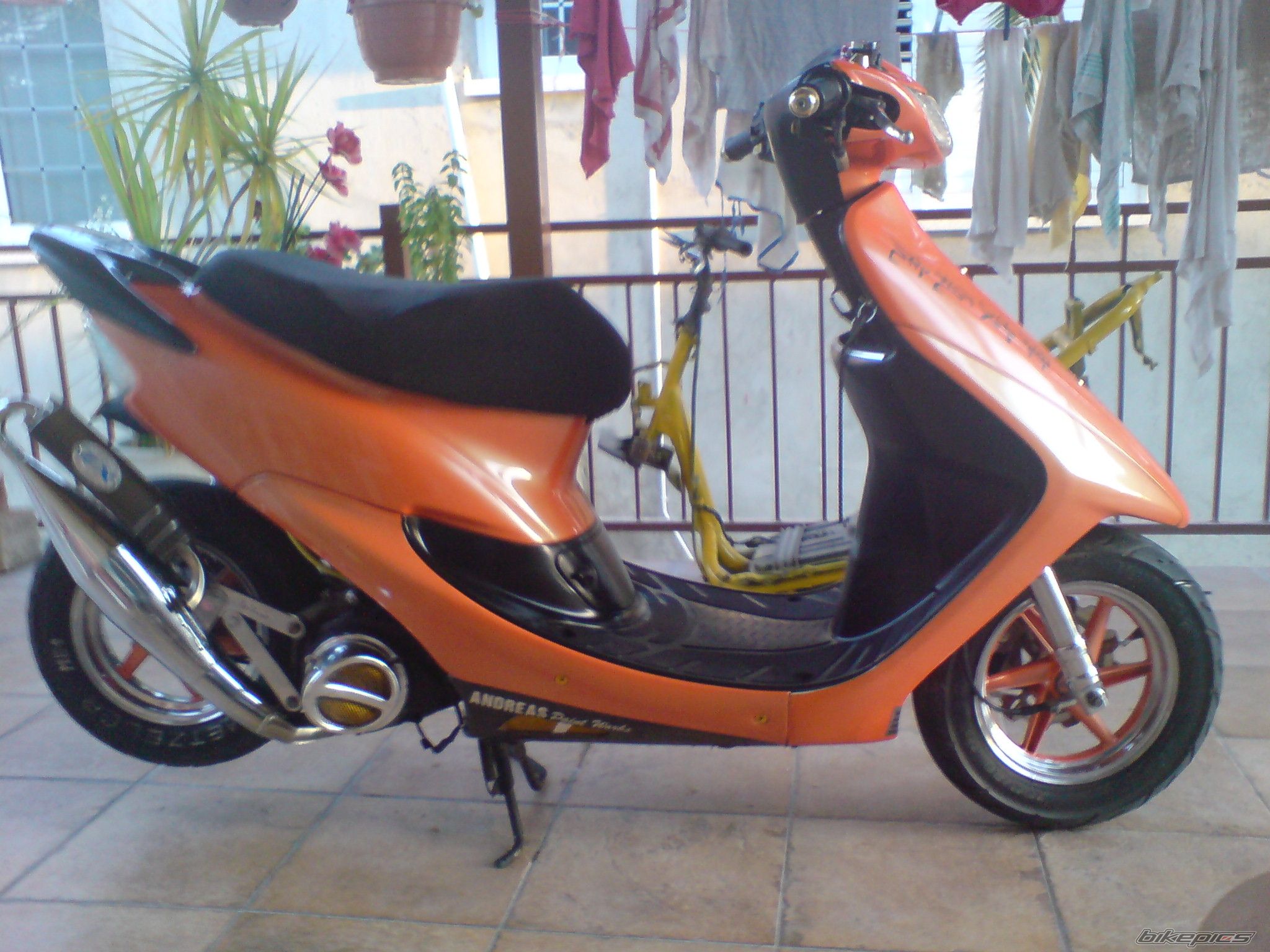 Photo 1166028