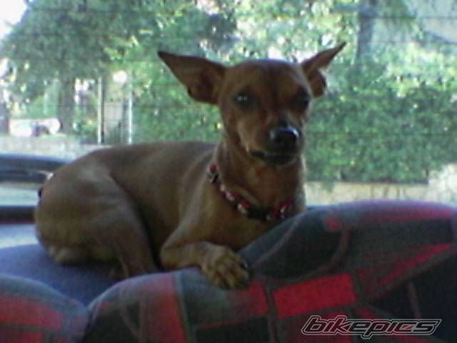 Photo 1166377