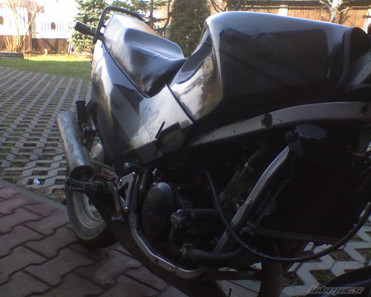 Photo 1166519