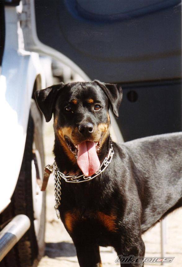Photo 116654