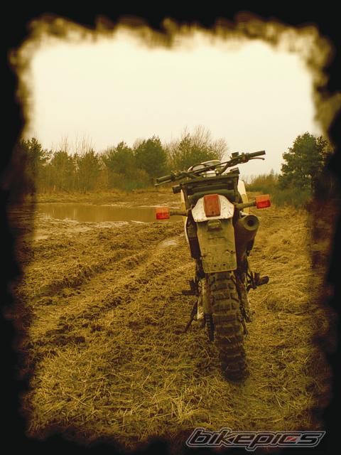 Photo 1166660
