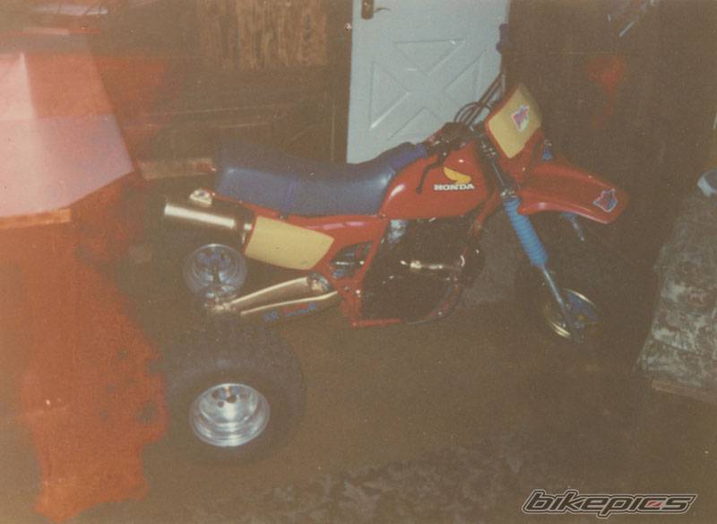Photo 116670