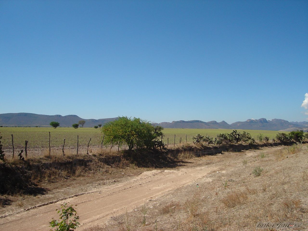 Photo 1166746