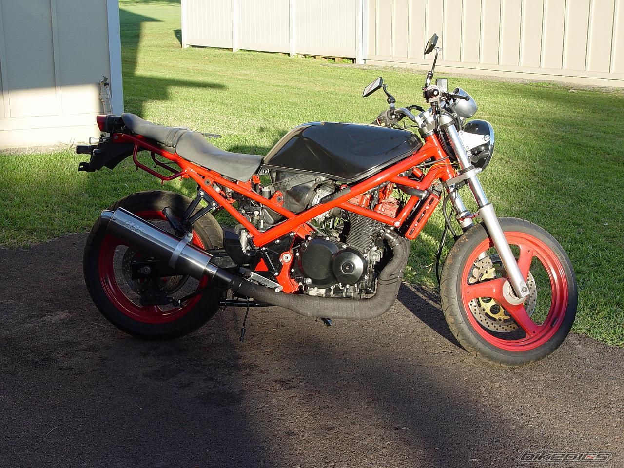 Photo 1166809