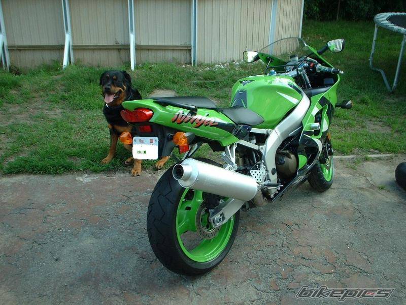 Photo 116688