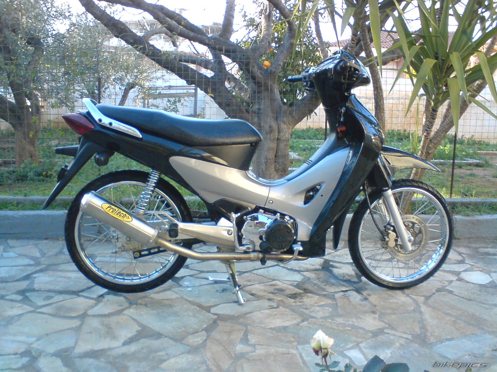 Photo 1166886