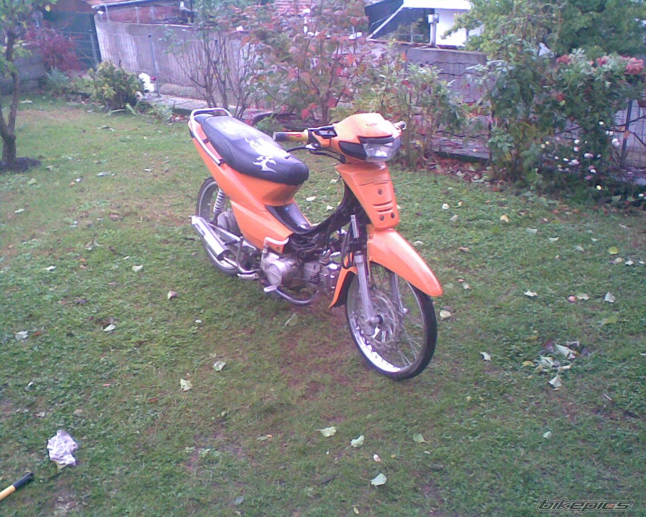 Photo 1166923