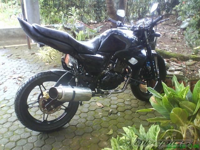 Photo 1166969
