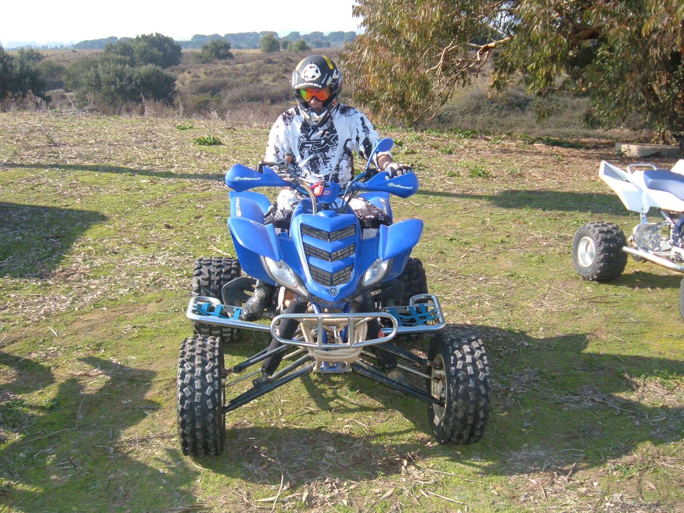 Photo 1167232