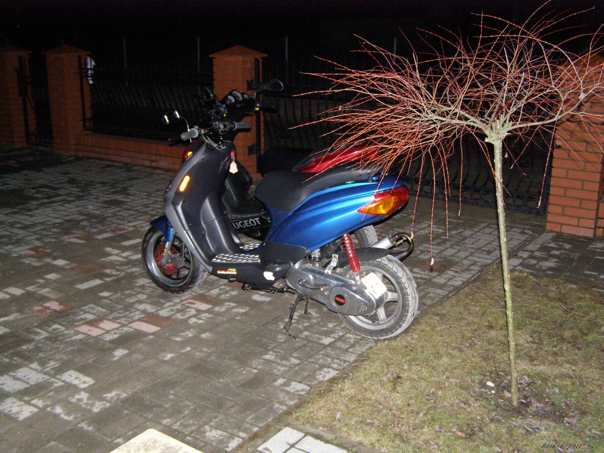 Photo 1167279