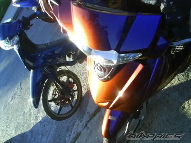 Photo 1167281