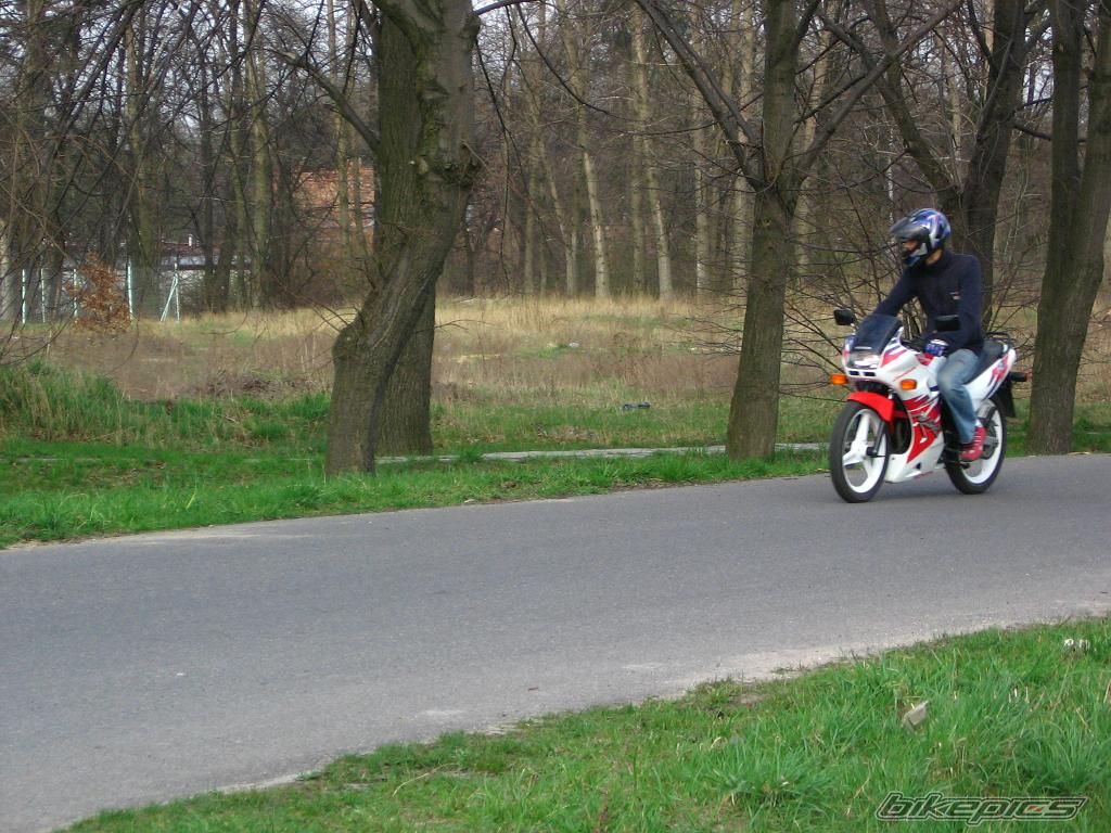 Photo 1167308