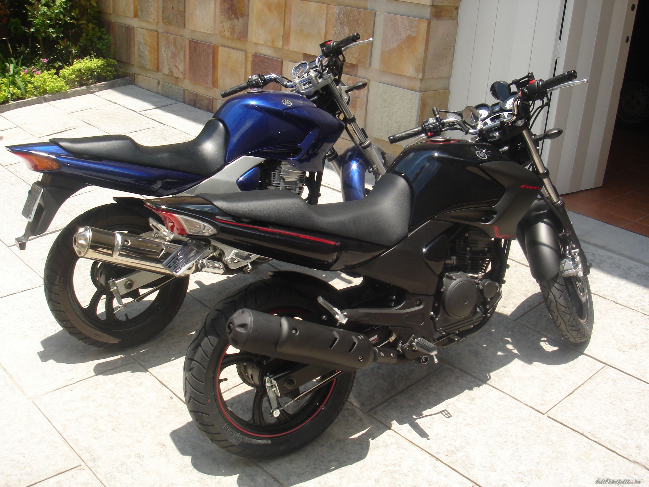 Photo 1167349