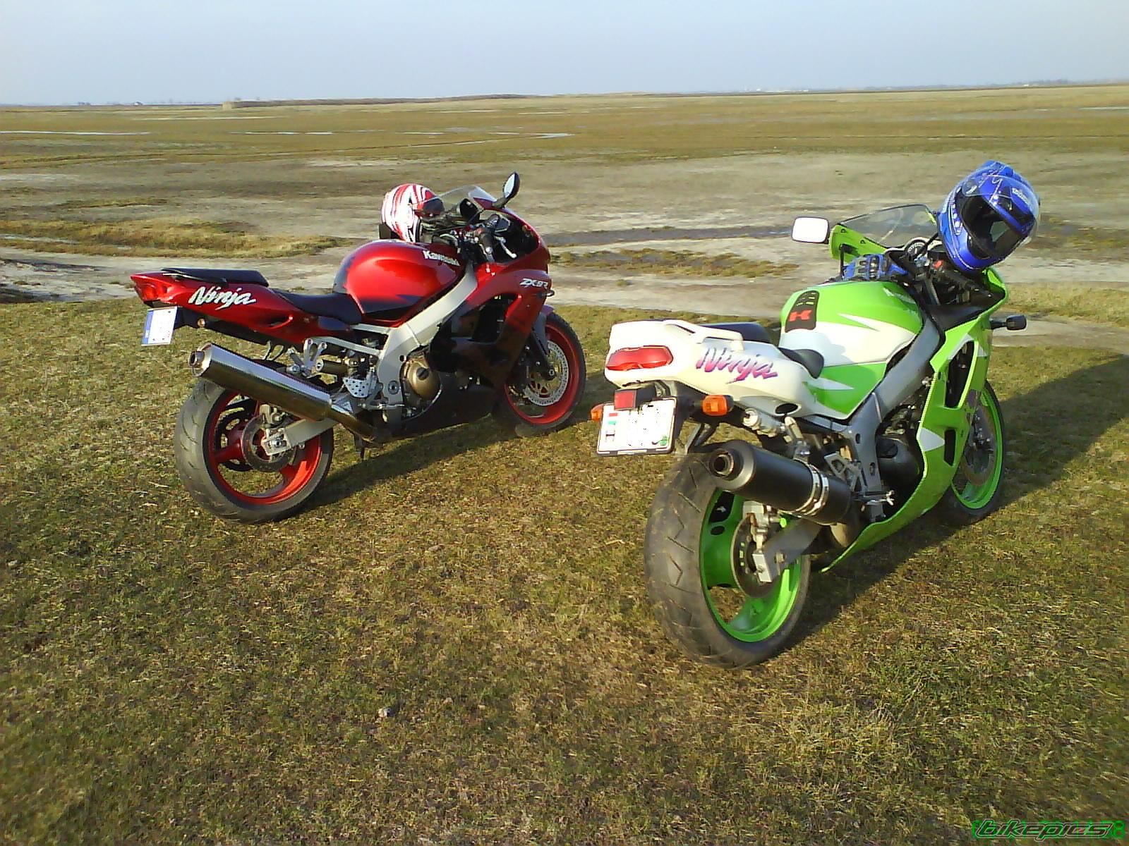 Photo 1167581