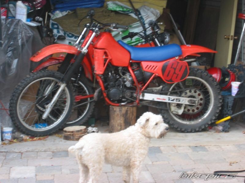 Photo 1167661