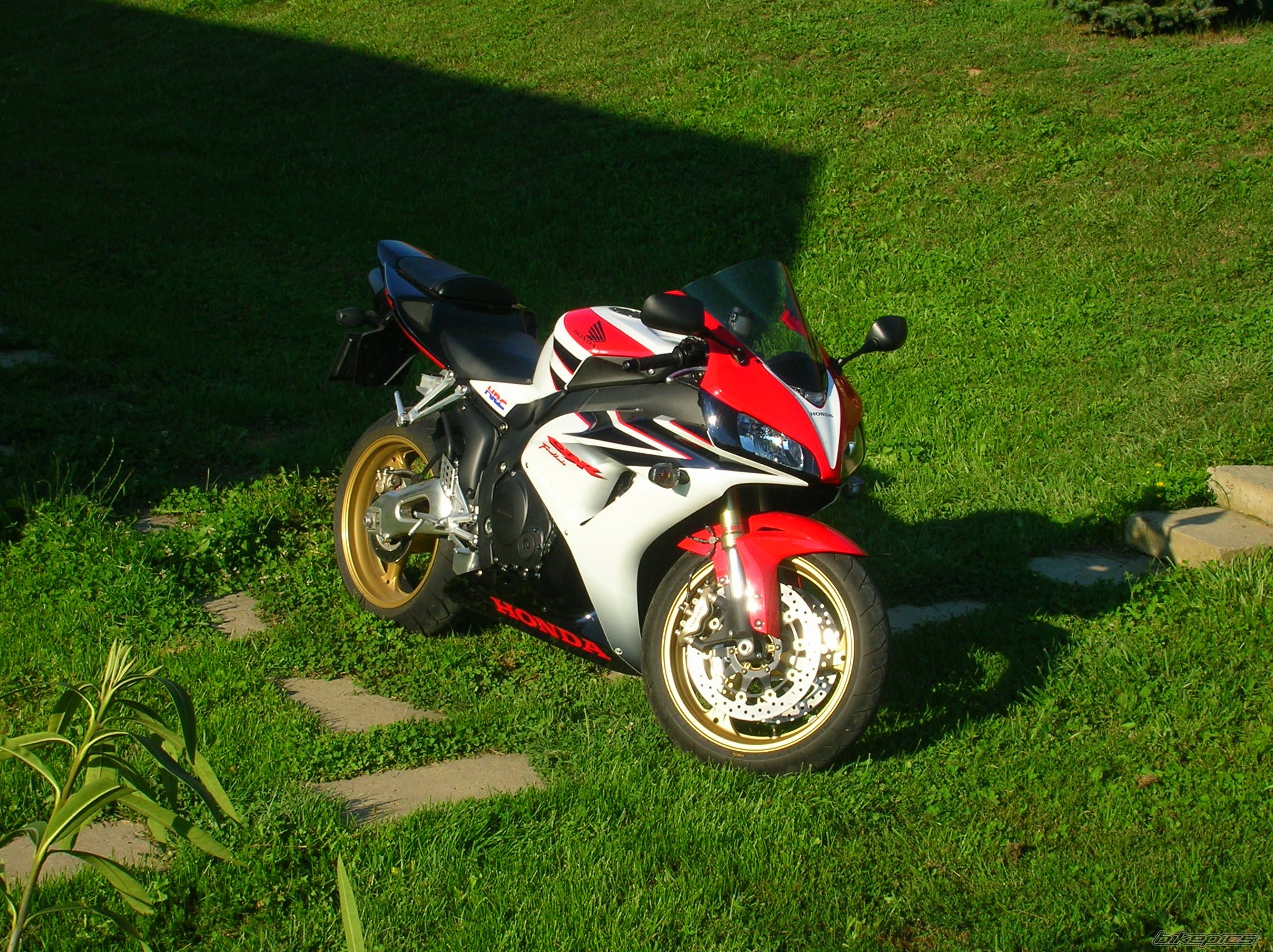 Photo 1167672