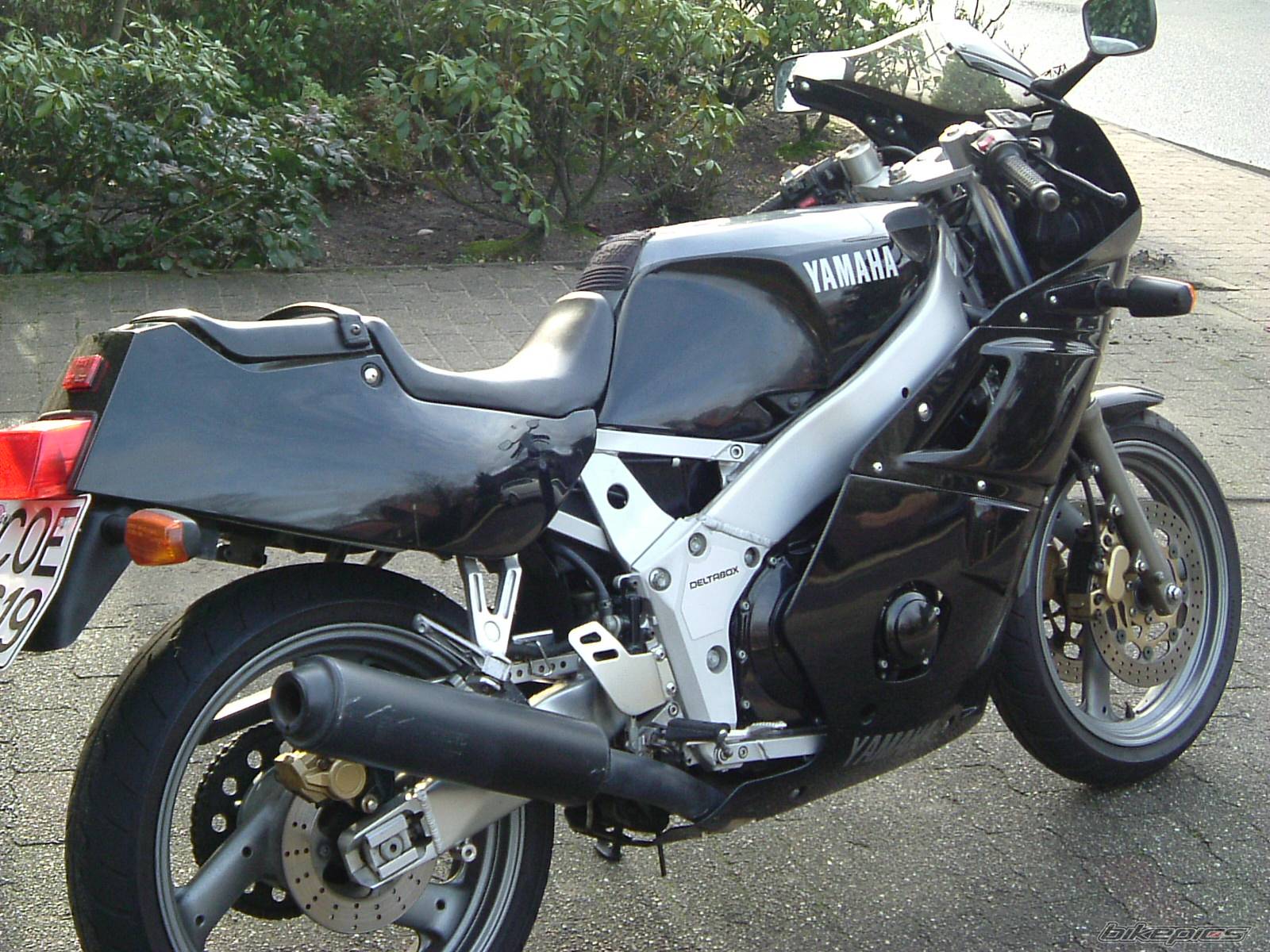 Photo 116768