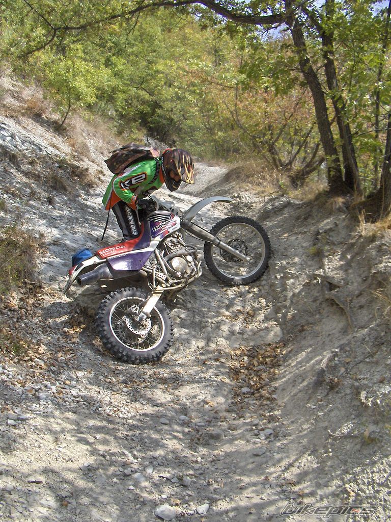 Bike Photo 1167759