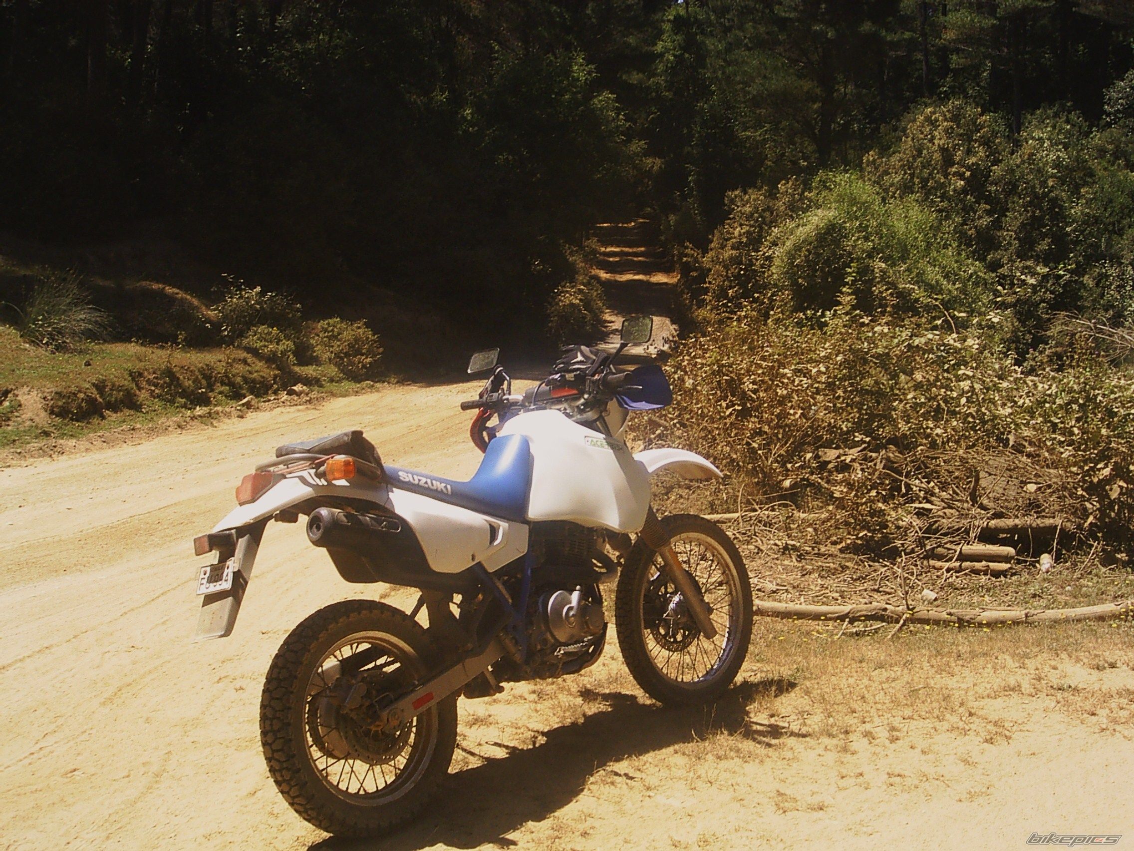 Bike Photo 1167789