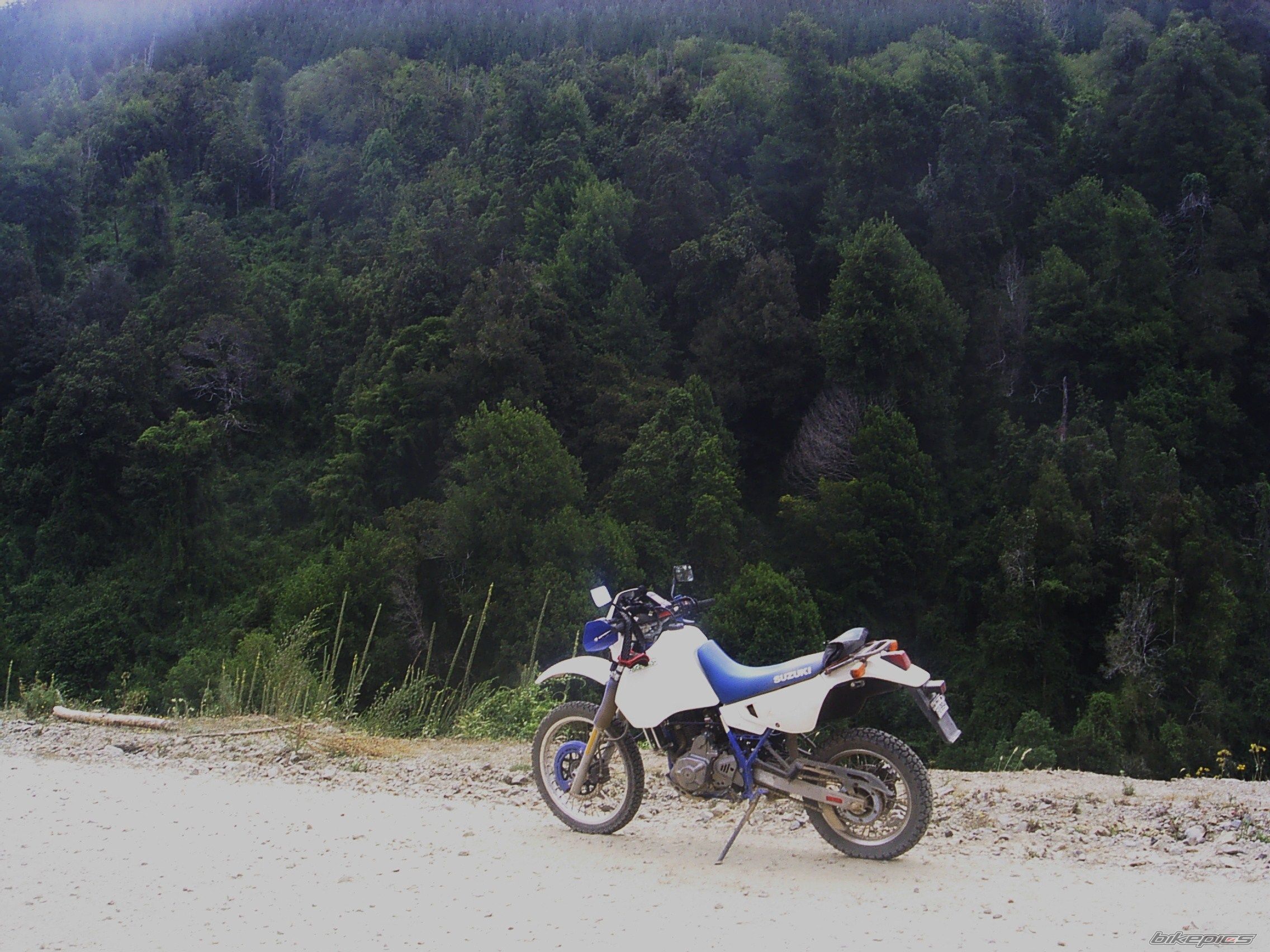 Photo 1167791