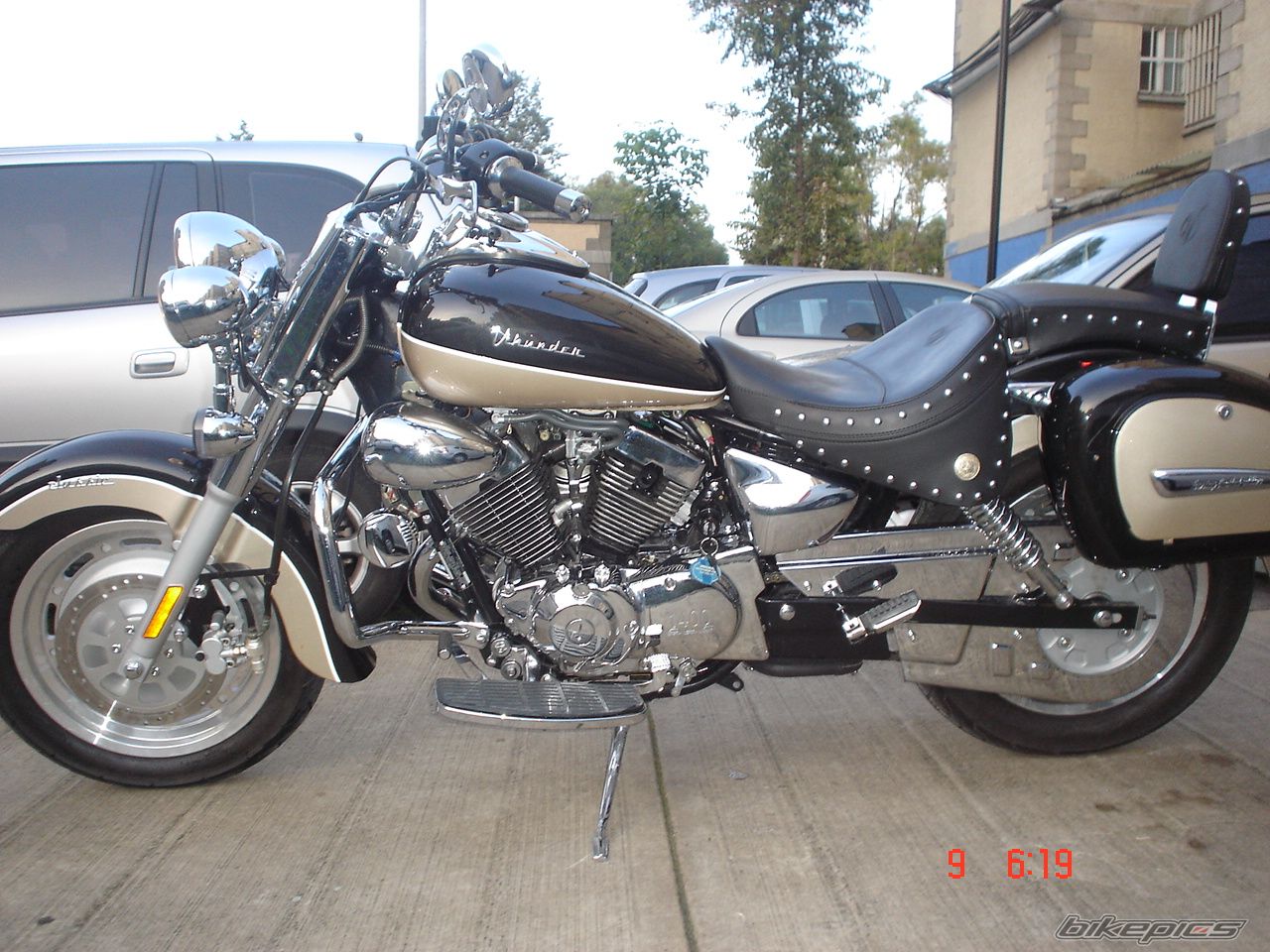 Photo 1167818