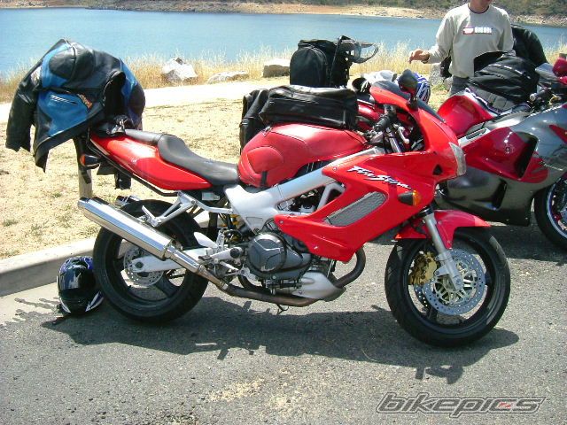 Photo 1167828