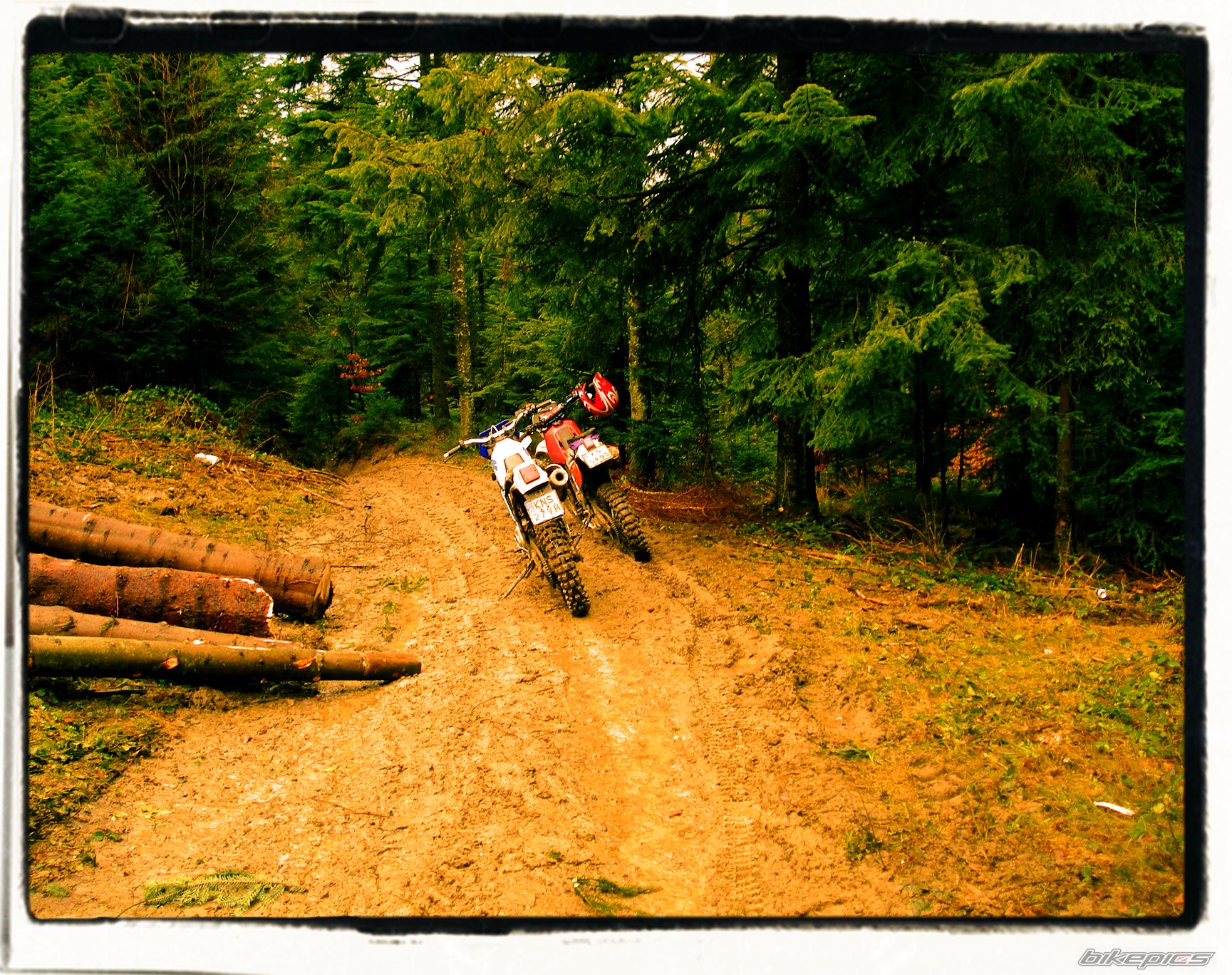 Bike Photo 1167959