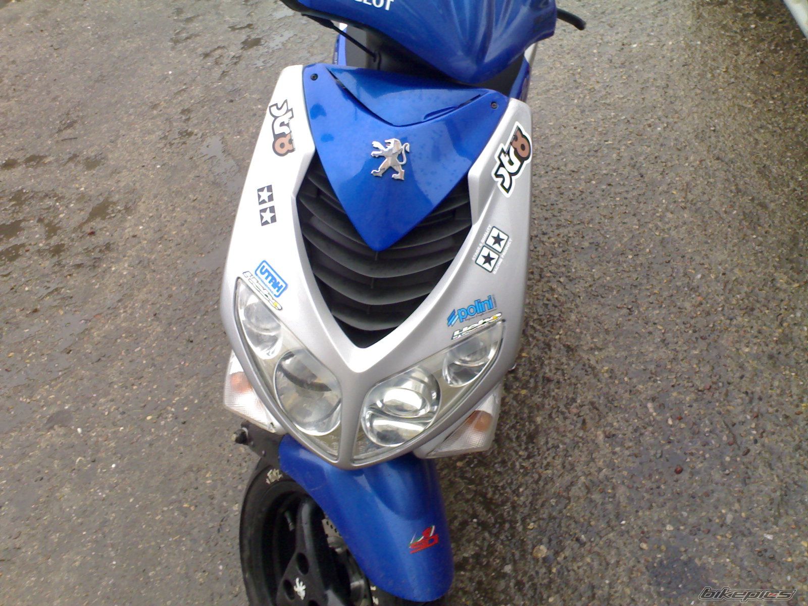 Photo 1167965