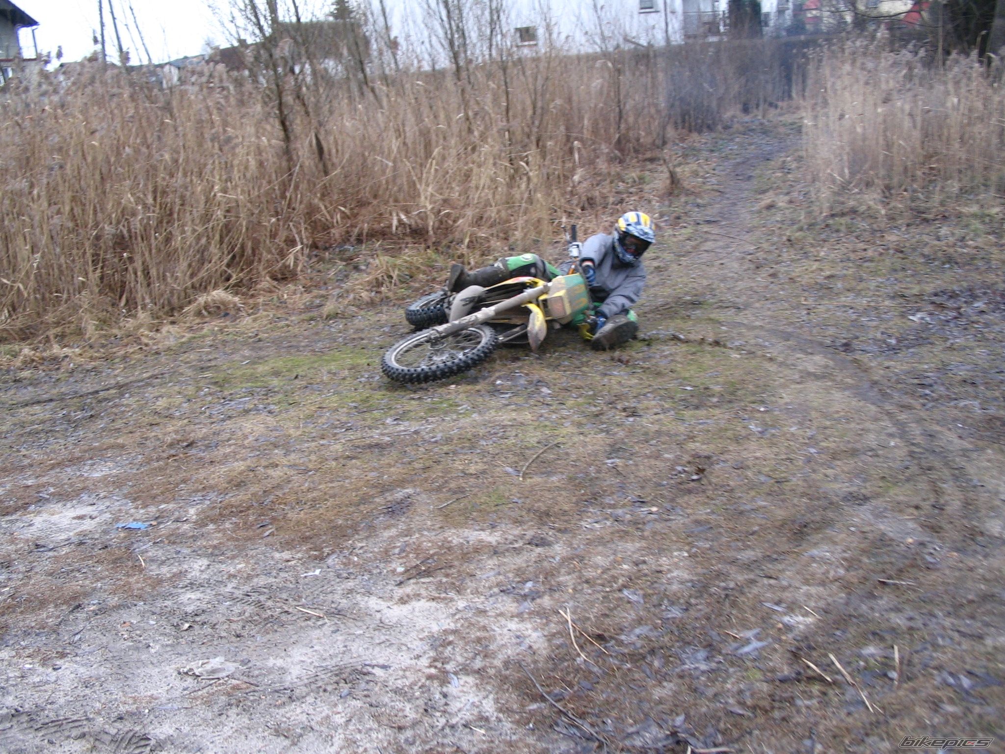 Photo 1167980