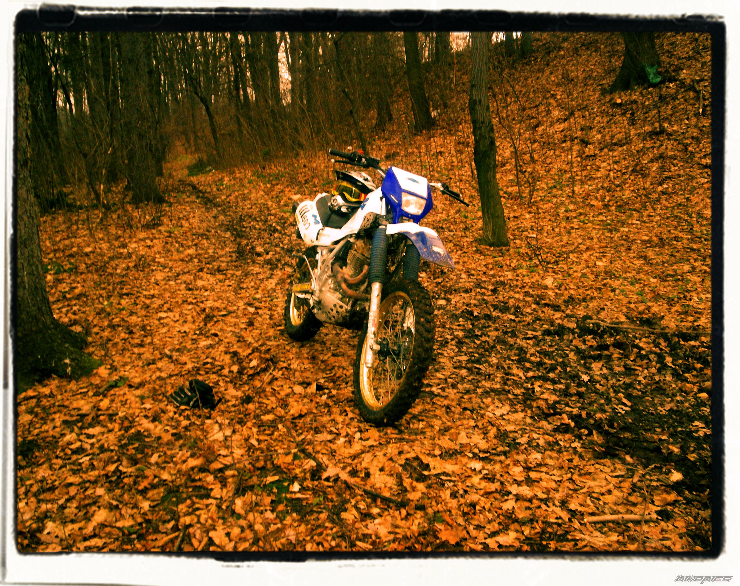 Photo 1167987