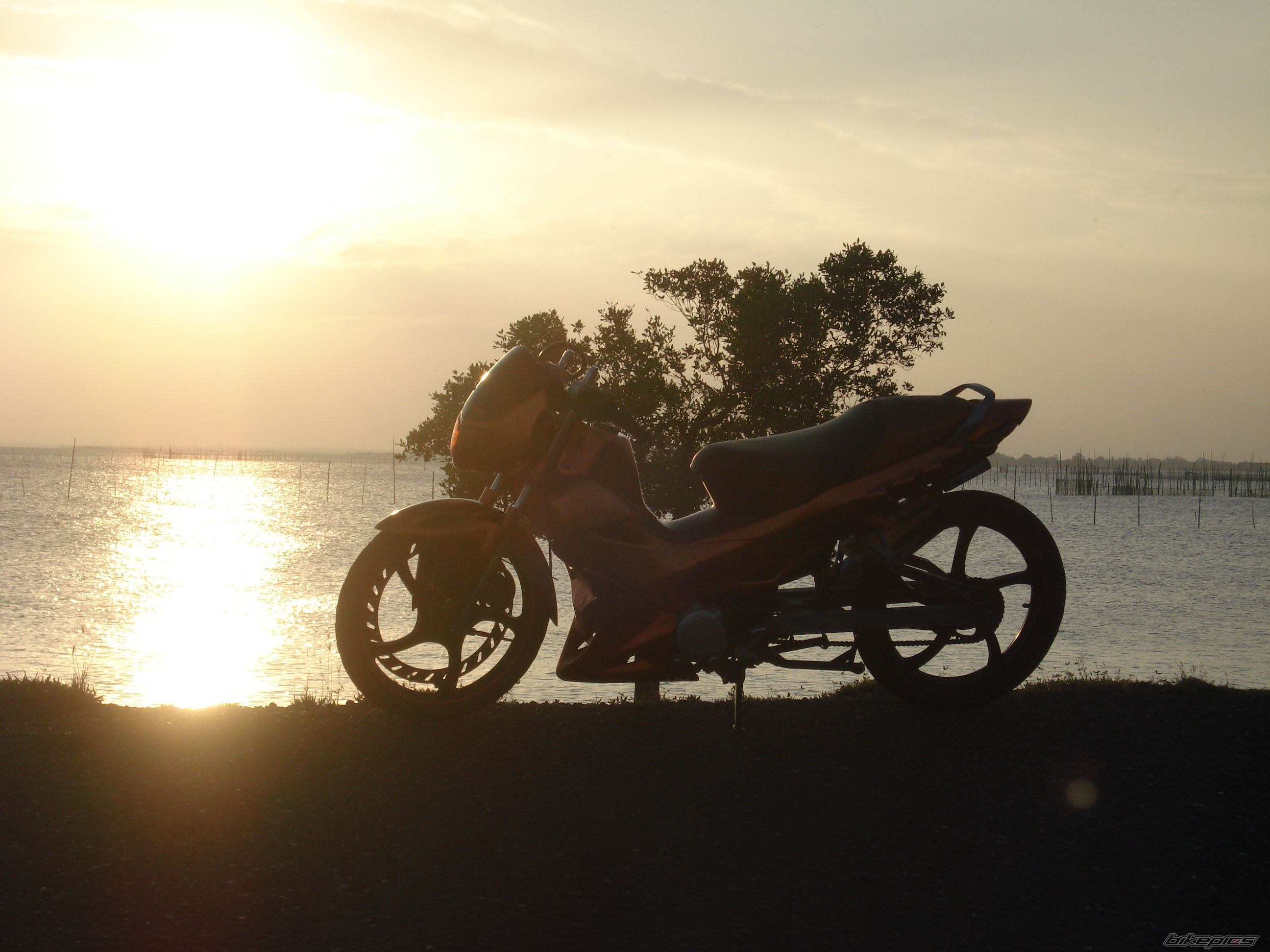 Bike Photo 1168111