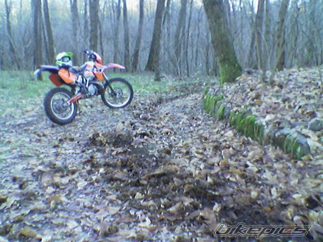 Photo 116812