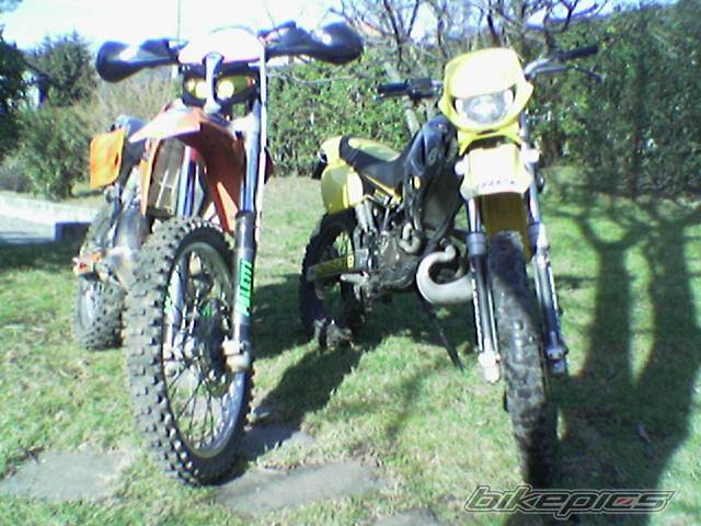 Photo 116816