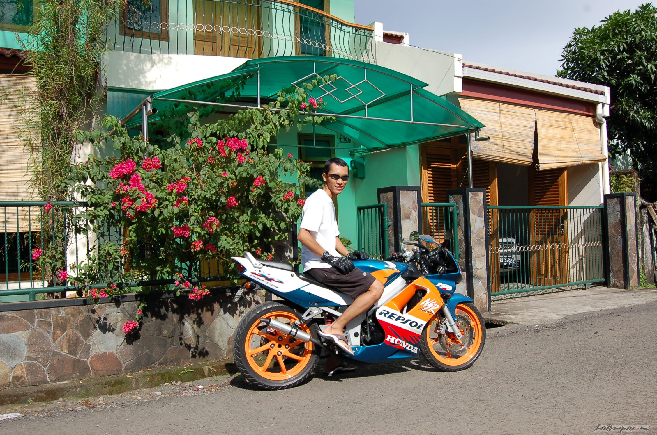 Photo 1168215
