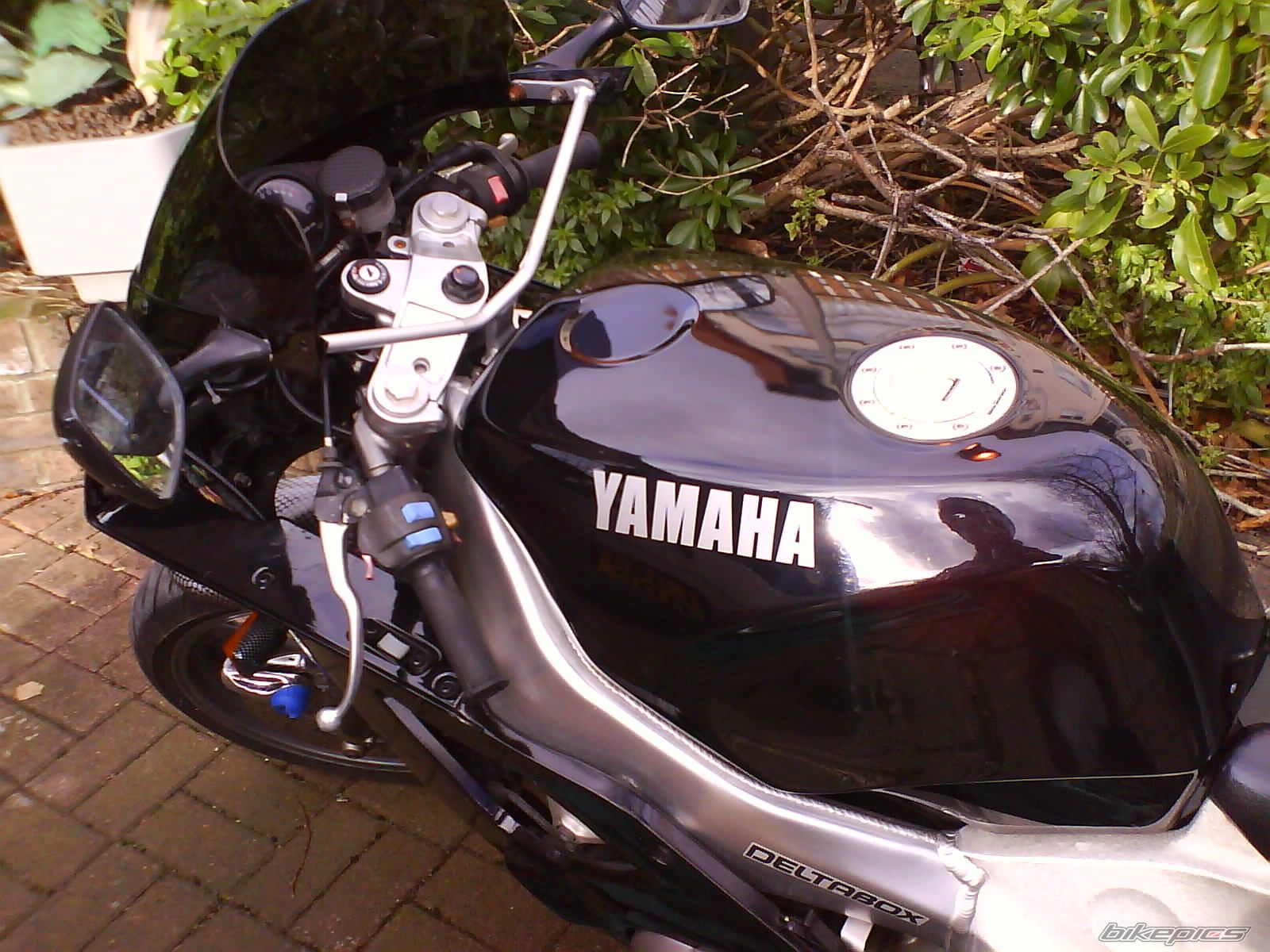 Photo 1168224