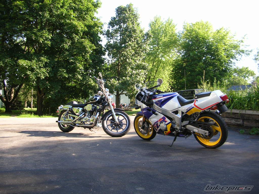 Photo 1168227