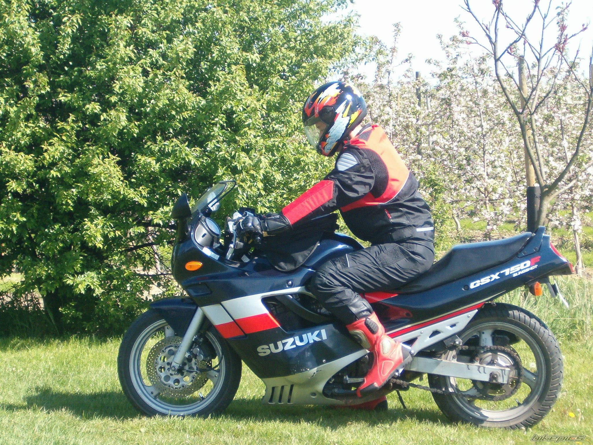 Bike Photo 1168696