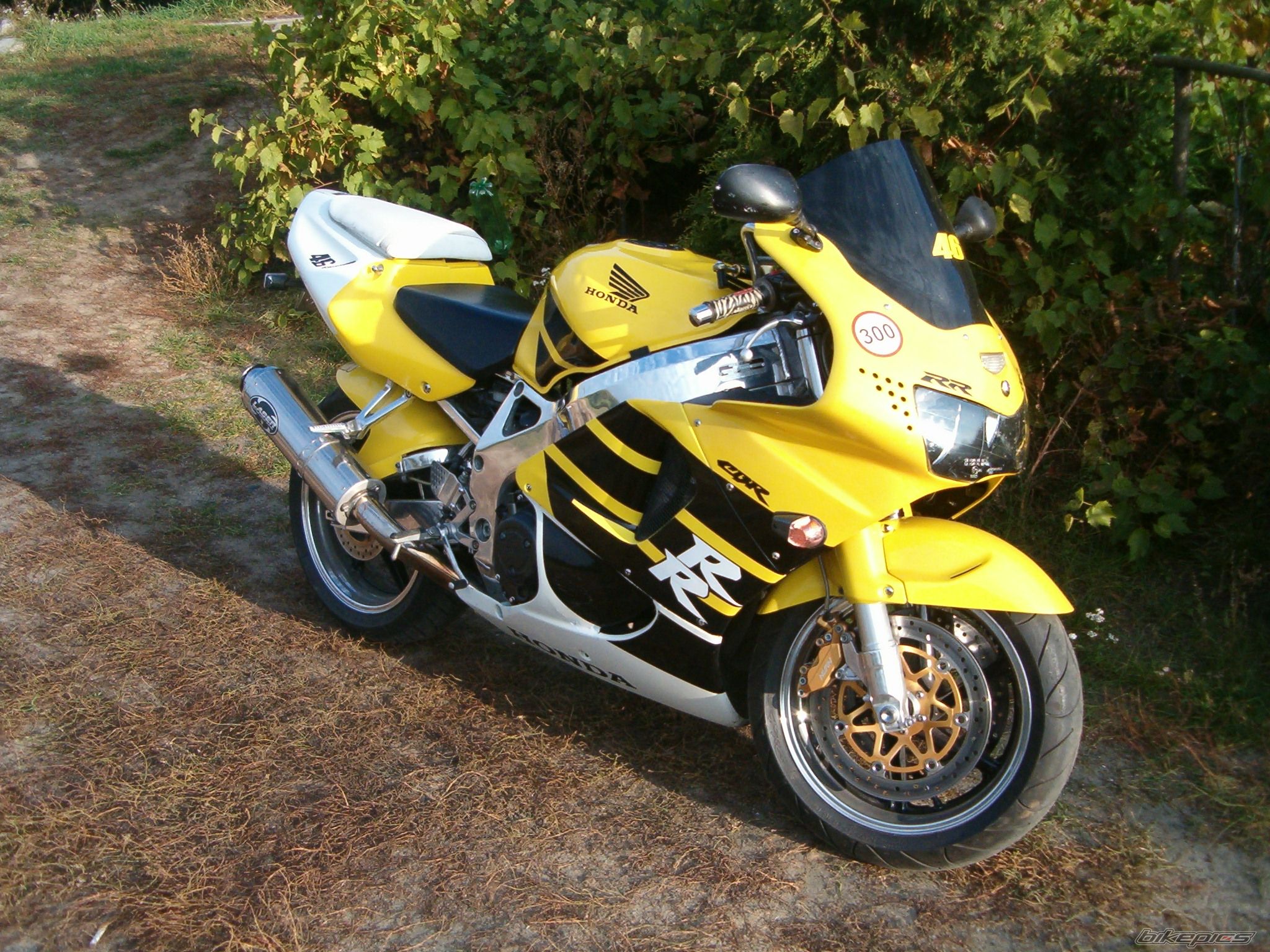 Photo 1168705