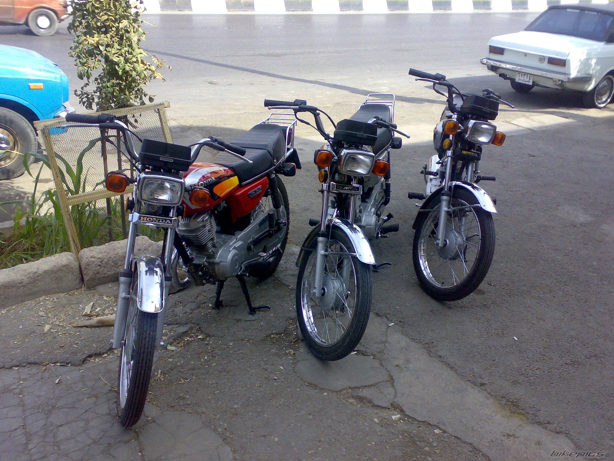 Photo 1168846