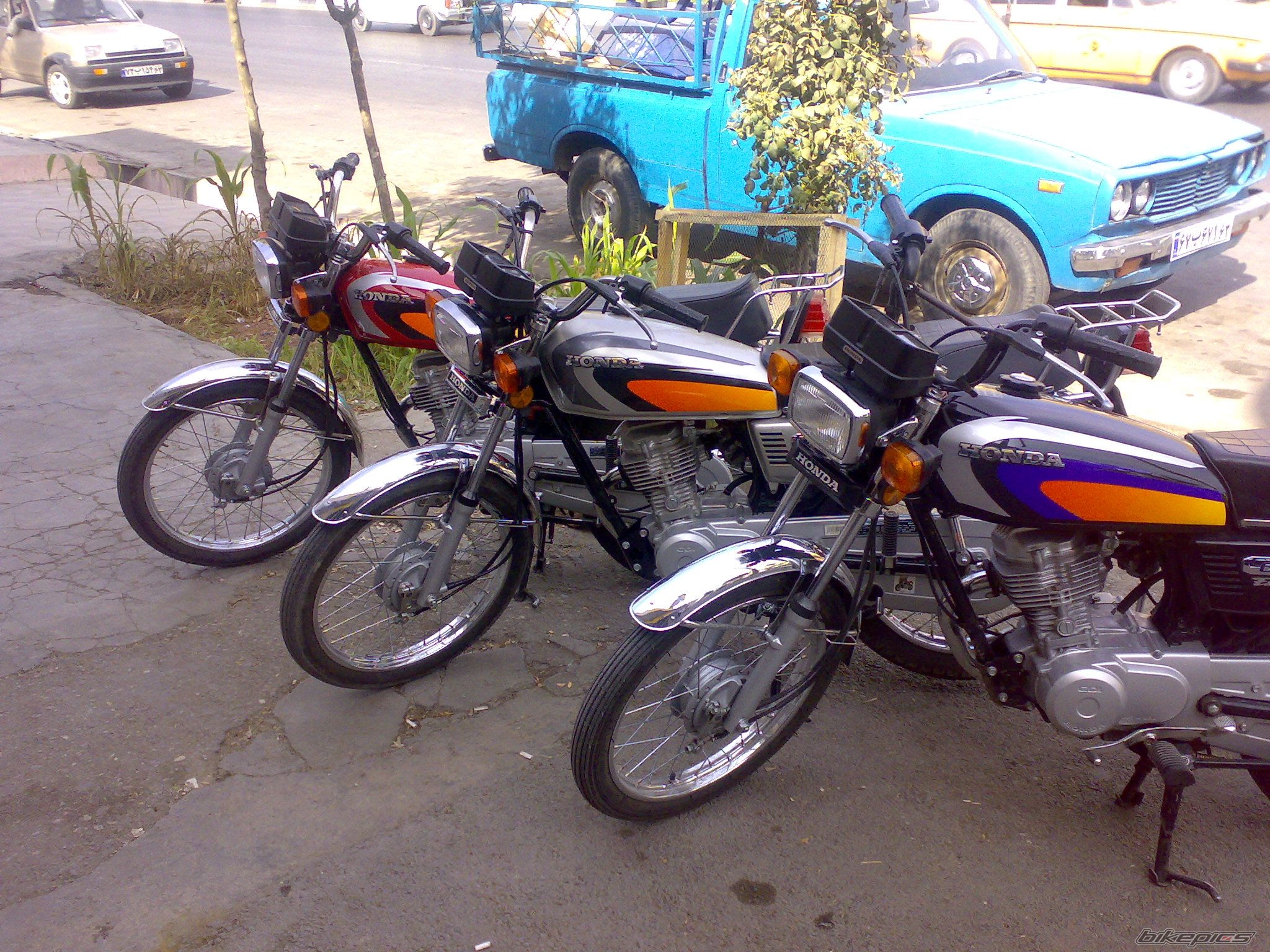 Photo 1168879