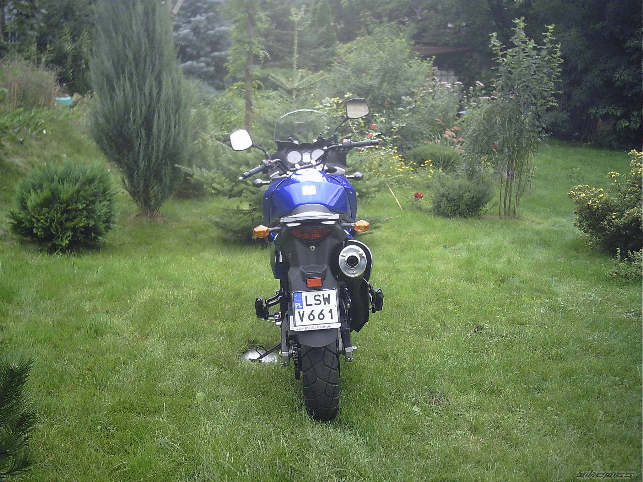 Photo 1168895