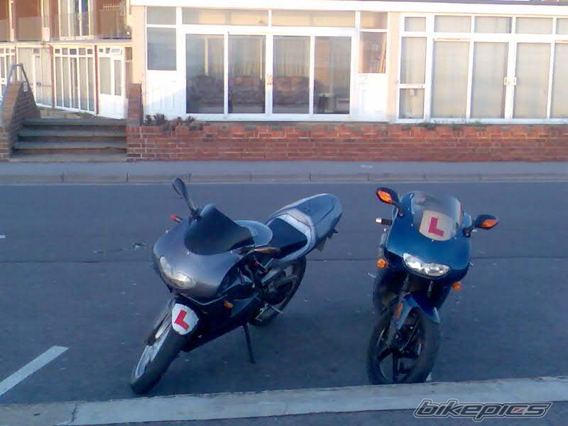 Photo 1168925