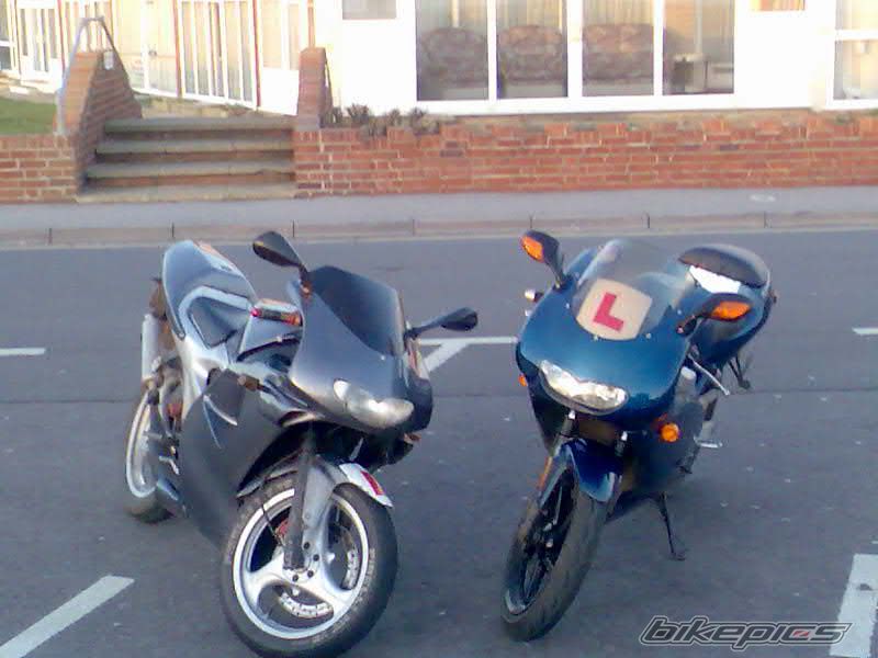 Photo 1168931