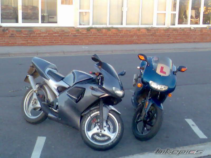 Photo 1168934
